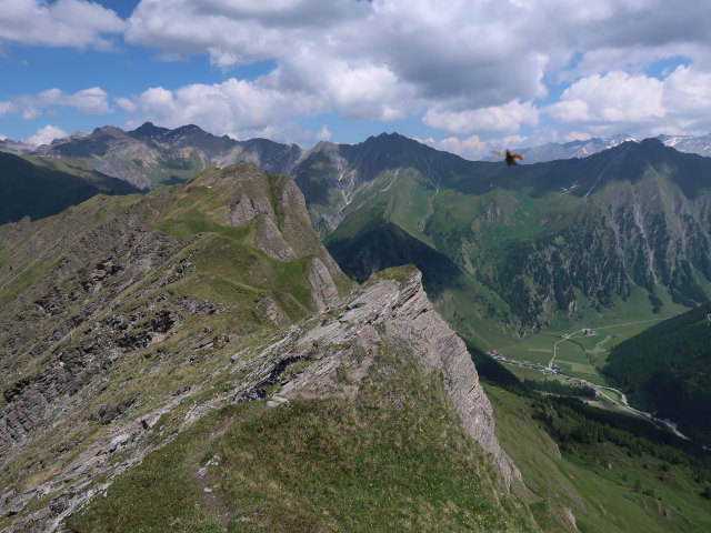 zwischen Scheibenspitze und Hoher Warte