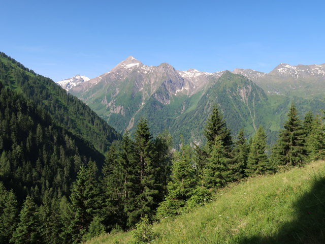 zwischen Krapfgrund und Harleitenalm (21. Juni)