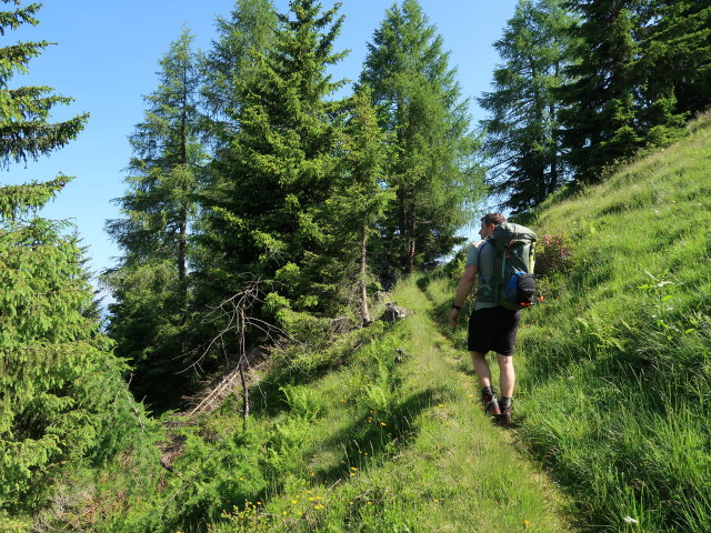 Christian zwischen Krapfgrund und Harleitenalm (21. Juni)