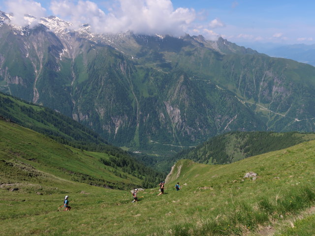 zwischen Harleitenalm und Brandlscharte (21. Juni)