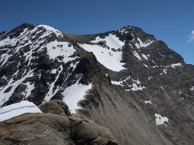 zwischen Hirzbachtörl und Bauernbrachkopf (22. Juni)