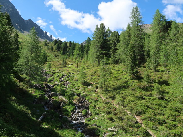 zwischen Schönbödele und Madatschkopf (28. Juni)
