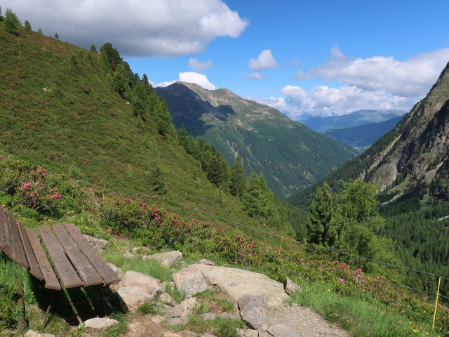 zwischen Schönbödele und Madatschkopf (28. Juni)