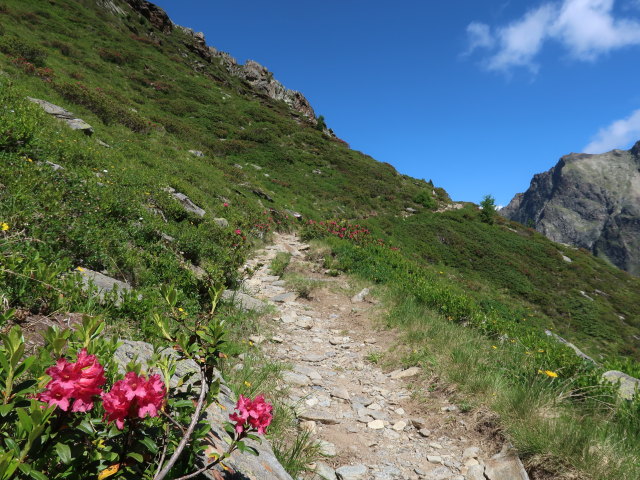 zwischen Schönbödele und Madatschkopf (28. Juni)