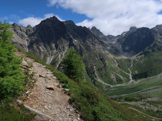 zwischen Schönbödele und Madatschkopf (28. Juni)