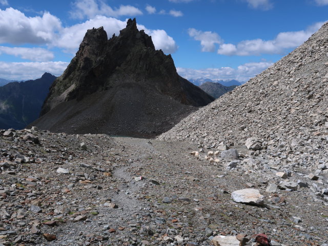 zwischen Kühgrübl und Madatschferner (28. Juni)