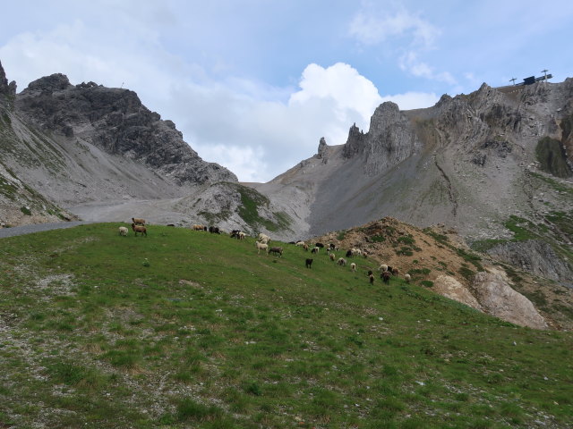 zwischen Valfagehrjoch und Ulmer Hütte (19. Juli)