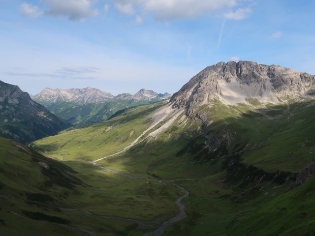 Pazüelalpe (20. Juli)