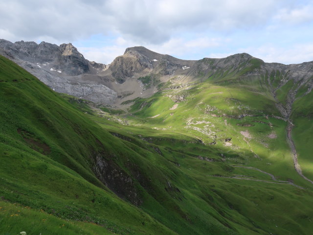 Auf der Oberalp (20. Juli)