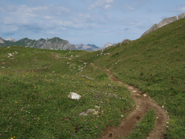 zwischen Stuttgarter Hütte und Erlijoch (20. Juli)