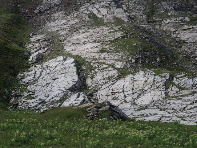 zwischen Stuttgarter Hütte und Erlijoch (20. Juli)