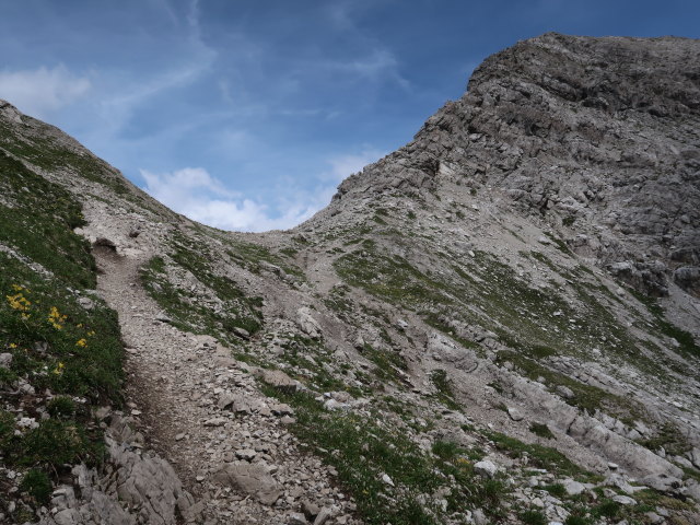 Rauekopfscharte (20. Juli)