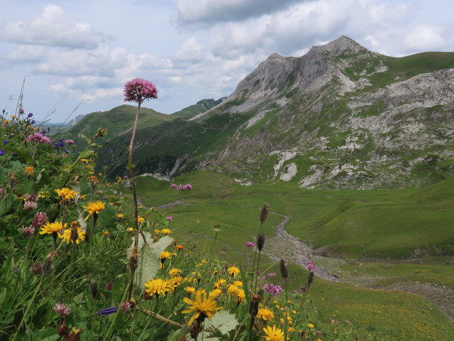 Ochsengümple (20. Juli)