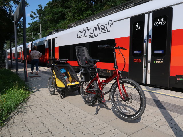 Nils im Bahnhof Niederkreuzstetten, 241 m