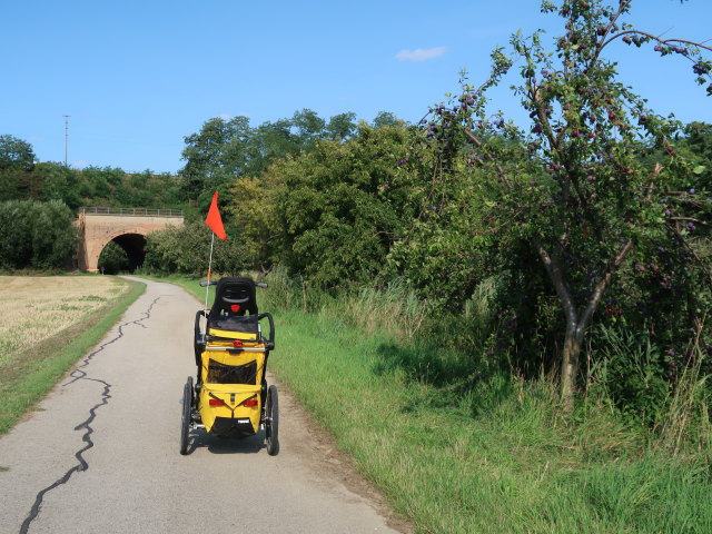 zwischen Niederkreuzstetten und Hautzendorf