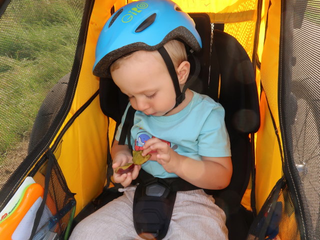 Nils zwischen Niederkreuzstetten und Hautzendorf