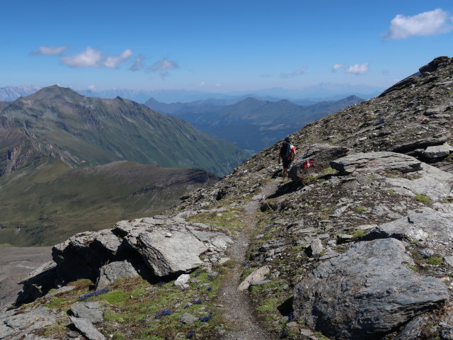 Ronald am Klagenfurter Jubiläumsweg zwischen Hinterem Modereck und Herbertturm (8. Aug.)
