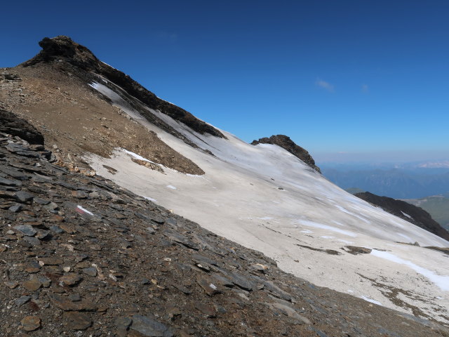 Hocharnkees (8. Aug.)