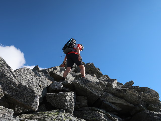 Ronald zwischen Südlicher Goldzechscharte und Goldzechkopf (8. Aug.)