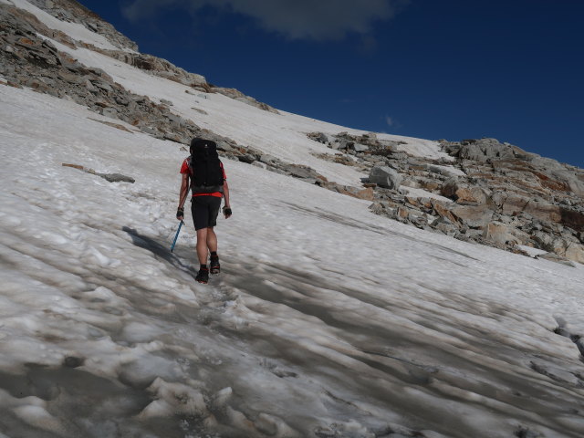 Ronald am Kleinfleißkees (8. Aug.)