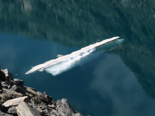 zwischen Hüttwinklache und Niederer Scharte (9. Aug.)