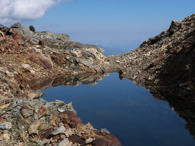 zwischen Hüttwinklache und Niederer Scharte (9. Aug.)