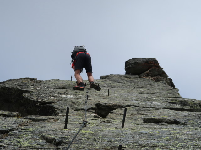 Ronald zwischen Herzog-Ernst-Spitze und Schareck (9. Aug.)