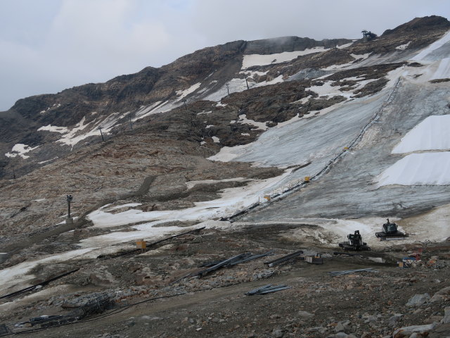 Wurtenkees (9. Aug.)