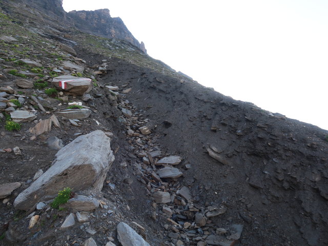 Duisburg-Hannover-Weg zwischen Duisburger Hütte und Feldseescharte (10. Aug.)