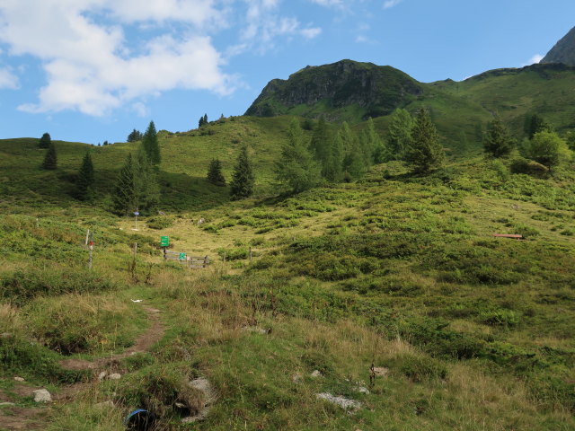 zwischen Eselkar und Veitbaueralm (10. Aug.)