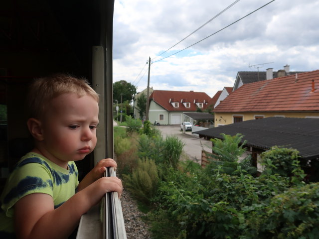 Nils zwischen Zöbing und Schönberg am Kamp
