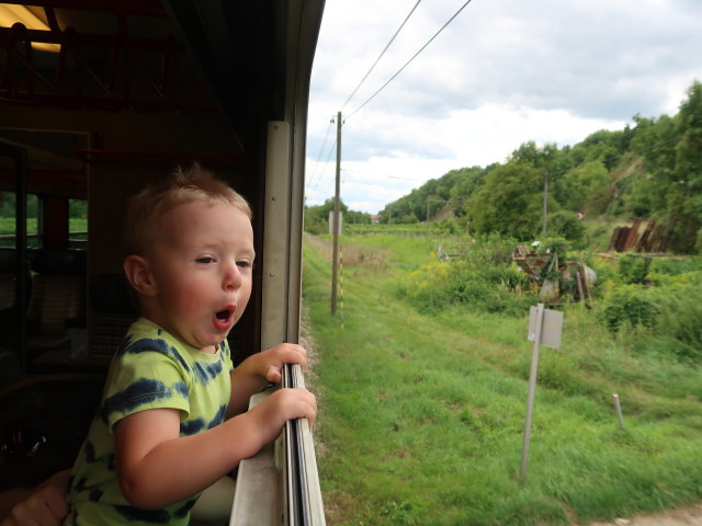 Nils zwischen Zöbing und Schönberg am Kamp
