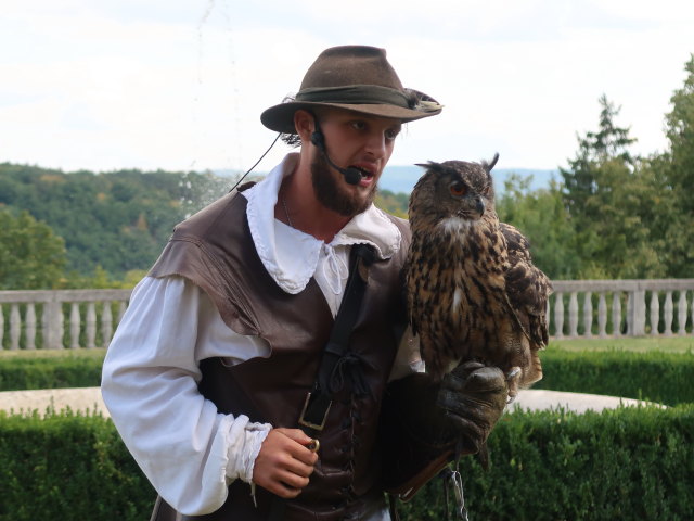 Falknereivorführung