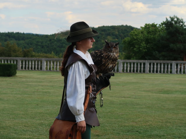 Falknereivorführung