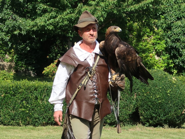 Falknereivorführung