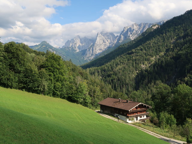 Hofinger im Kaisertal (24. Aug.)