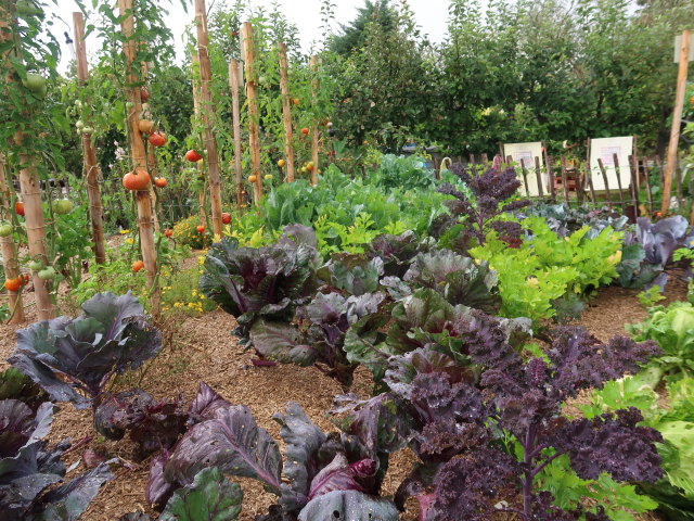 Kittenberger Erlebnisgärten