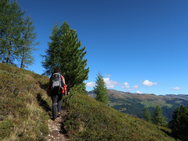 Carmen zwischen Weißbachalm-Mitterleger und Torhelm
