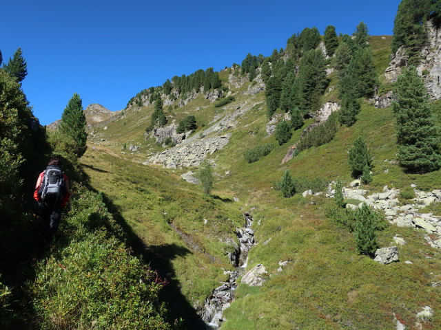Carmen zwischen Weißbachalm-Mitterleger und Torhelm