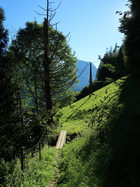 zwischen Ahornach und Brandberg