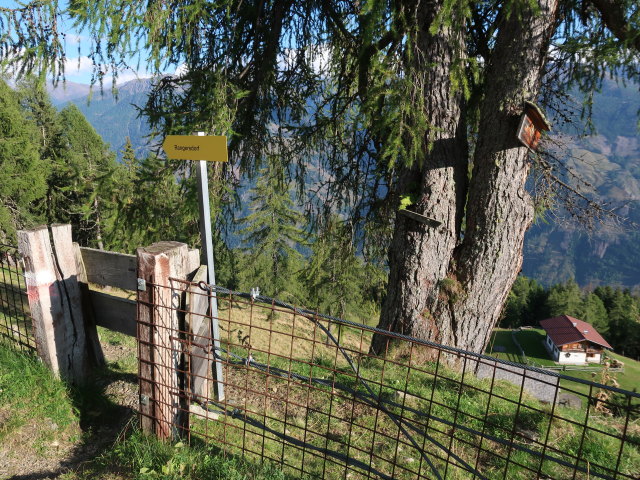 zwischen Marterle und Rangersdorf