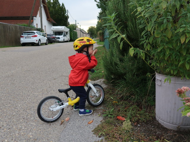 Nils in der Alten Straße