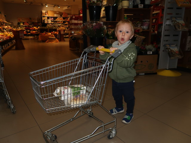 Nils im Billa Oleandergasse