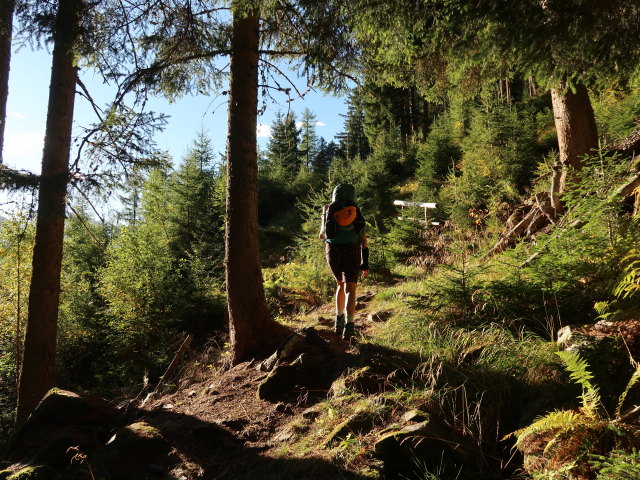 Evelyn zwischen Burgstein und Gehsteigalm (20. Sep.)