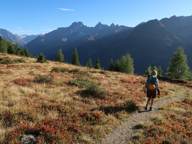 Evelyn zwischen Lehnerjoch und Ludwigsburger Hütte (20. Sep.)