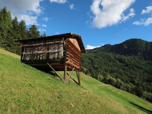 zwischen Hochzeigerhaus und Liß (21. Sep.)