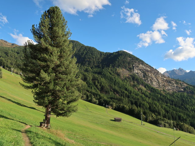 zwischen Hochzeigerhaus und Liß (21. Sep.)