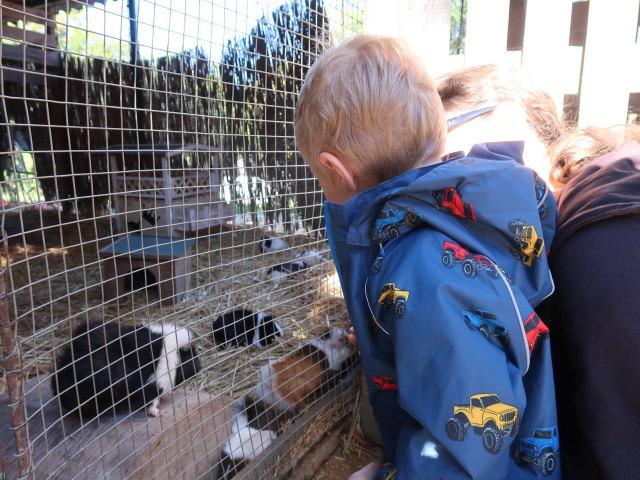 Nils und Sabine im Tierpark Buchenberg