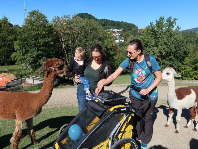 Nils, Sabine und Ursa im Tierpark Buchenberg