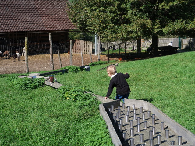 Nils im Tierpark Buchenberg